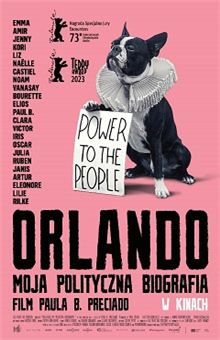 Orlando. Moja polityczna biografia