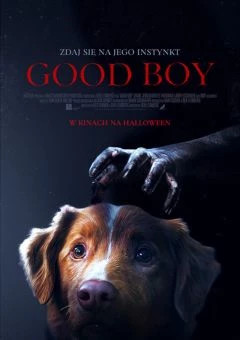 Good boy