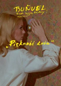 Piękność dnia